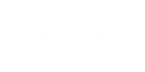 Logo-Siemens Siemens leaders reading The AI MEMO